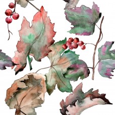 Листья и ягоды смородины 4